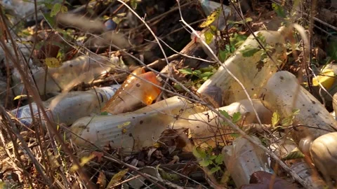 Plastic pollution of the forest and nature. Bottles, bags, and other plastic Stock Footage 142682464