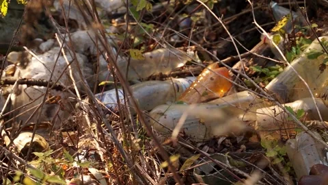 Plastic pollution of the forest and nature. Bottles, bags, and other plastic Stock Footage 142682478