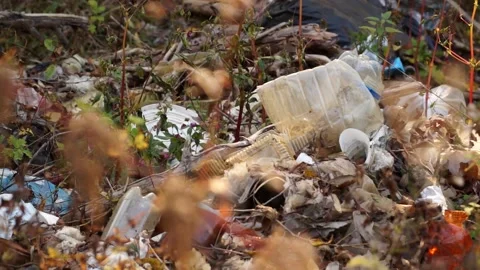Plastic pollution of the forest and nature. Bottles, bags, and other plastic Stock Footage 142682563