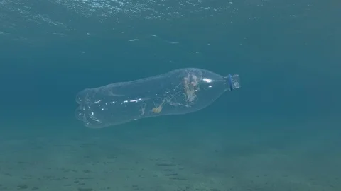 Plastic pollution, Jellyfish died hitting trapped in plastic bottle. Stock Footage 114883496