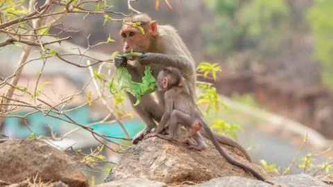 Plastic pollution in the jungle environmental problem. Stockfoto's