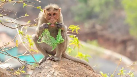 Plastic pollution in the jungle environmental problem. Stock Photos
