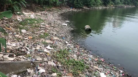 Plastic Pollution Lake Stock Footage 251729329