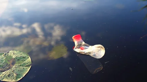 Plastic pollution in lake. Ocean waste pollution, marine debris. Video stock 286312231