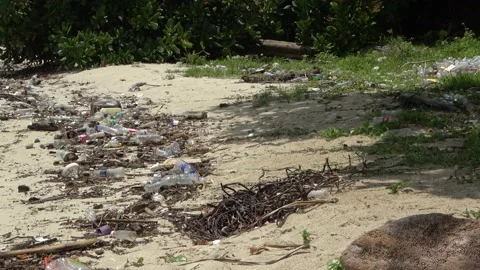 Plastic pollution, Malaysia Stock Footage 176658990
