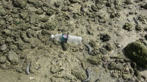 Plastic pollution, Malaysia Video stock 206579389