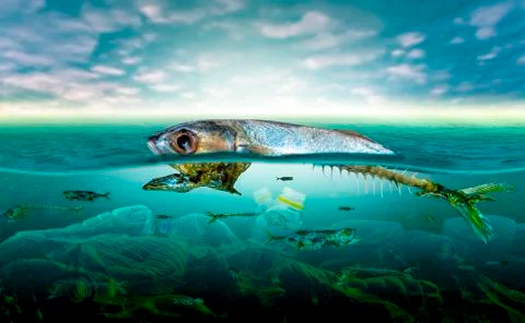 Plastic pollution in marine environmental problems Animals in the sea cannot Stock Illustration