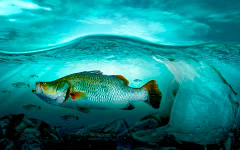 Plastic pollution in marine environmental problems Animals in the sea cannot Stock Photos
