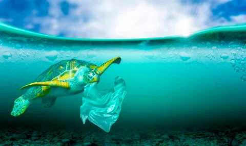 Plastic pollution in marine environmental problems Animals in the sea cannot Foto stock