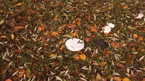 Plastic pollution of nature. Disposable plastic plate on the grass in the fall. Stock Footage 126000368