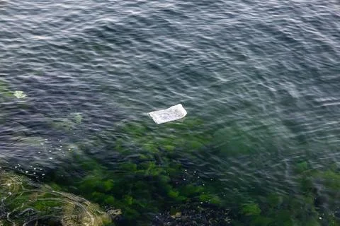 Plastic Pollution in the Ocean with Algae on the Rocky Shoreline Stock Photos