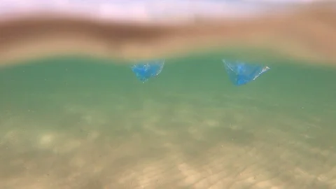 Plastic pollution in ocean environmental problem. Bags dumped in sea Stock Footage 94997833