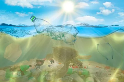 Plastic pollution in ocean environmental problem. Turtles can eat plastic bags Stock Photos