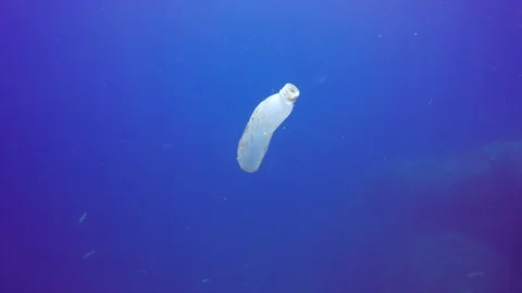 Plastic pollution in ocean Vídeo Stock 86375969