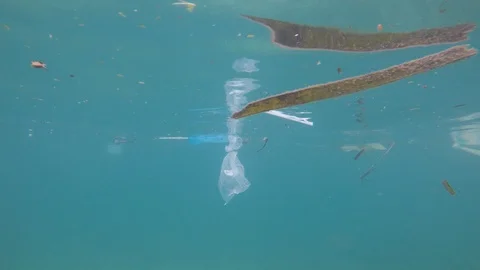 Plastic pollution in ocean Video stock 88642603