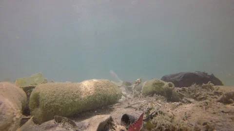 Plastic pollution in ocean Stock-Footage 89703801
