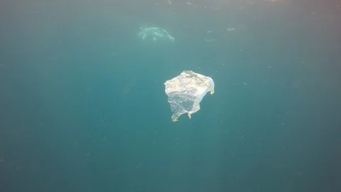 Plastic pollution in ocean Stock-Footage 101890700