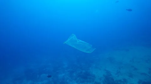 Plastic pollution in ocean Vídeo Stock 107266393