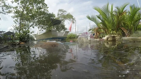 Plastic pollution in ocean Vídeo Stock 109258135