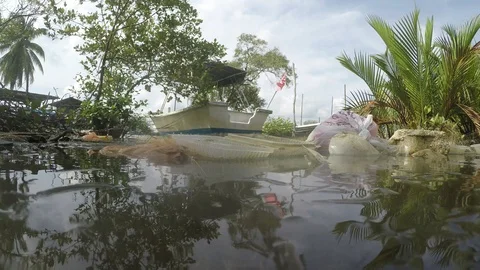 Plastic pollution in ocean Stock-Footage 109258143