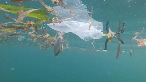 Plastic pollution in ocean 스톡 동영상 111382640