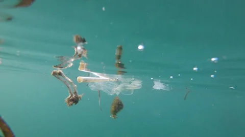Plastic pollution in ocean Stock Footage 111423038