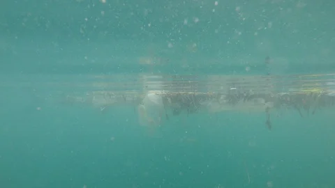 Plastic pollution in ocean Stock Footage 111793700