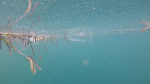 Plastic pollution in ocean Stock-Footage 111793702
