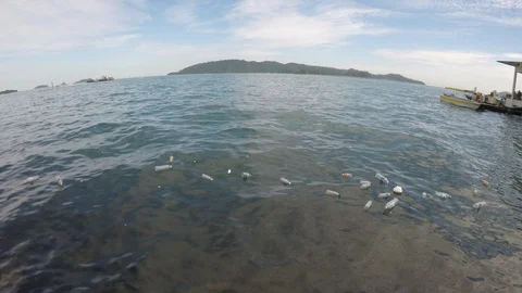 Plastic pollution in ocean Stock Footage 111793768