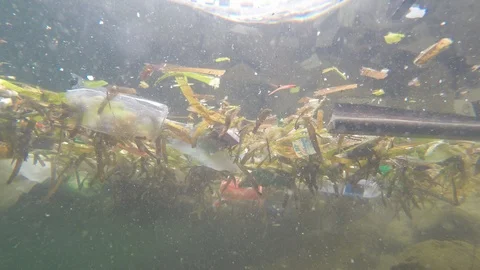 Plastic pollution in ocean Stock Footage 111807034