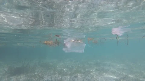 Plastic pollution in ocean Vídeo Stock 112771314