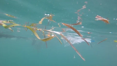 Plastic pollution in ocean Video stock 112771404