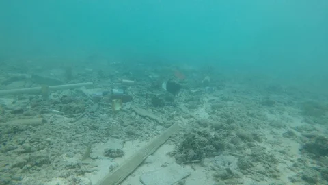Plastic pollution in ocean Stock-Footage 113328747