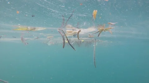 Plastic pollution in ocean 스톡 동영상 115689943
