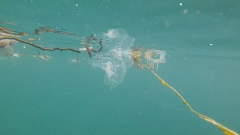 Plastic pollution in ocean Vídeo Stock 115690022