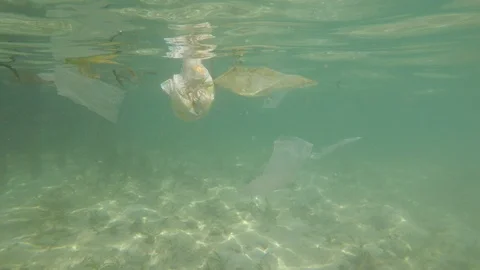 Plastic pollution in ocean Vídeo Stock 115881086