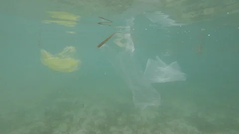 Plastic pollution in ocean Video stock 115881488