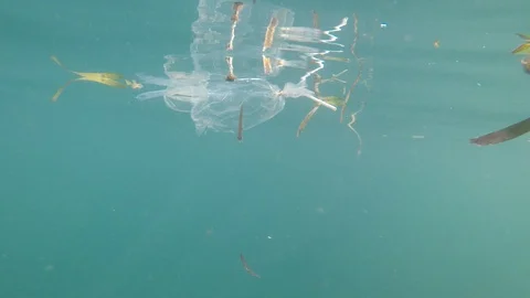 Plastic pollution in ocean Video stock 115881600