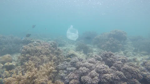 Plastic pollution in ocean Stock Footage 117017038