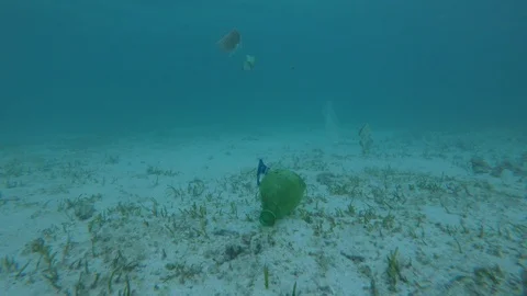 Plastic pollution in ocean 스톡 동영상 117346133
