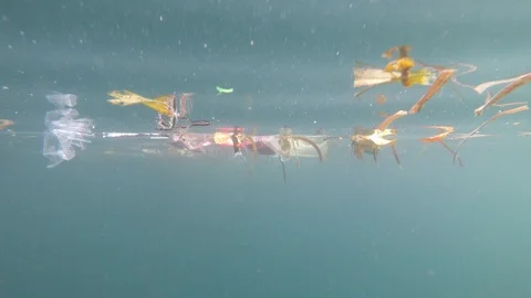 Plastic pollution in ocean Vídeos de archivo 117346728
