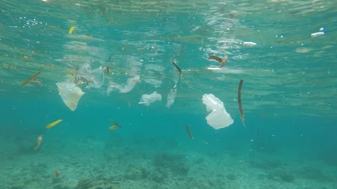 Plastic pollution in ocean 스톡 동영상 117563944