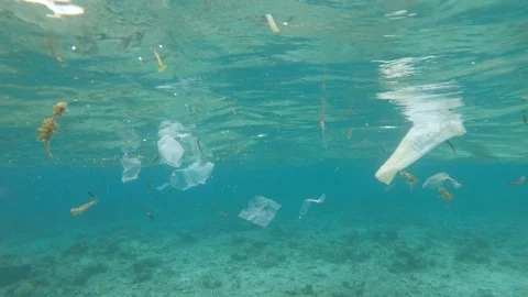 Plastic pollution in ocean Stock Footage 117564078