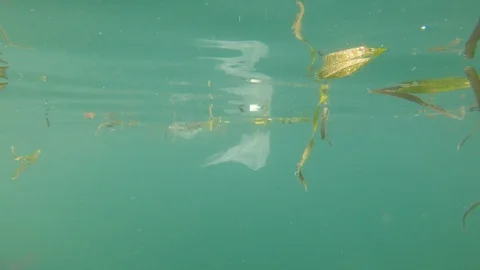 Plastic pollution in ocean Video stock 119827880