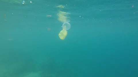 Plastic pollution in ocean Video stock 120222452