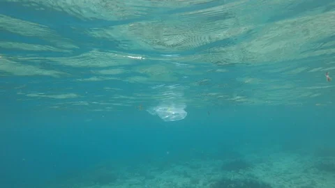 Plastic pollution in ocean Vidéo 120223050