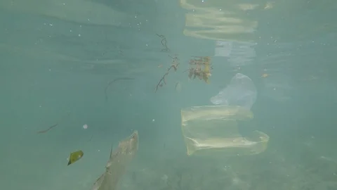 Plastic pollution in ocean Stock-Footage 120955044