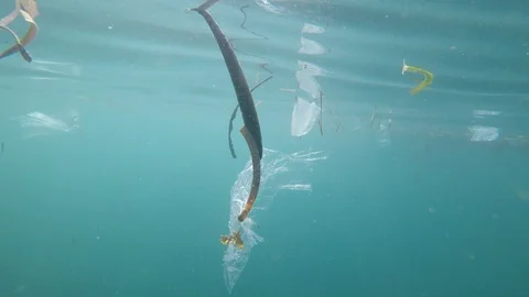 Plastic pollution in ocean Vídeo Stock 121014349