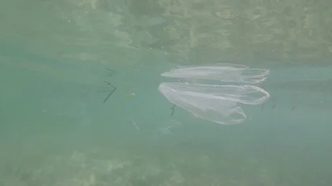 Plastic pollution in ocean Stock Footage 124525571