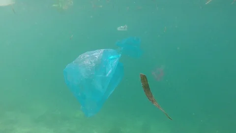 Plastic pollution in ocean Stock Footage 125178591